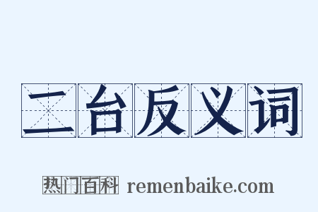 二台反义词是什么意思的图片
